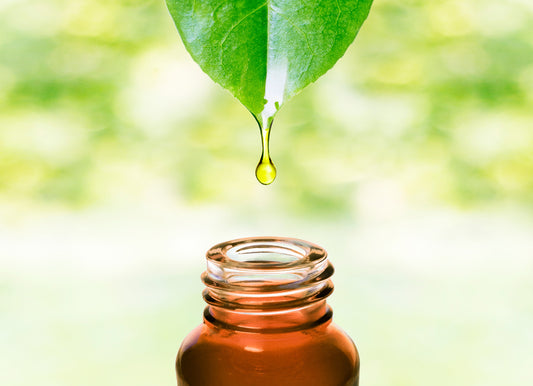 Homestead Essential Oils: Uses and Benefits for Everyday Life