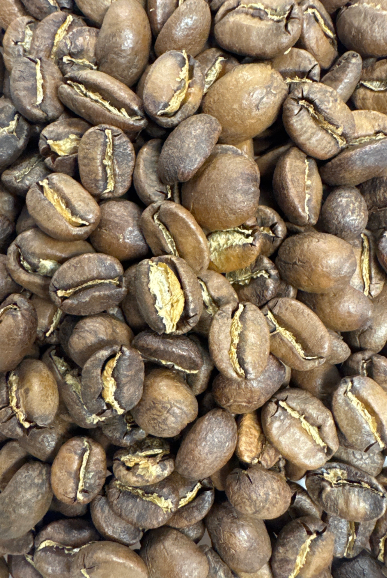 Guatemala Coffee